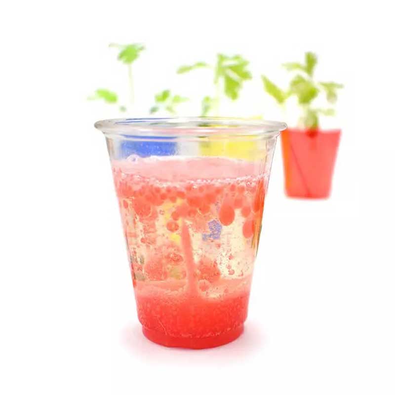 STEAM лаборатория - Щура магия в кухнята